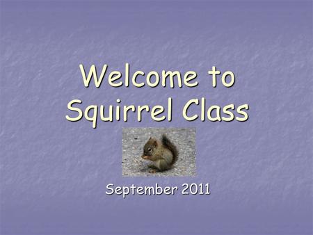 Welcome to Squirrel Class September 2011. What your child will need every day: Book bag Book bag Water bottle (please do not put these in book bags) Water.