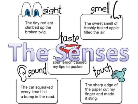 The Senses.