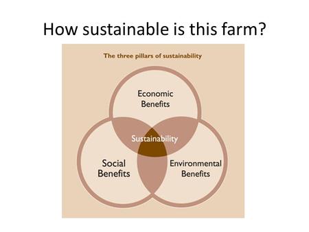 How sustainable is this farm?. Economic Benefits The diversified approach of WVF makes for steady income which supports 3 generations of the Caserta family.
