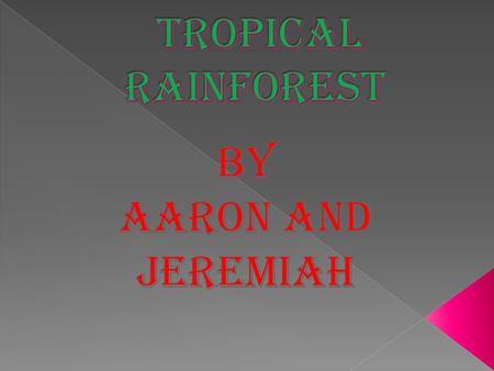  * Tropical rainforest biomes are found in the lower latitudes.  * The temperture is mostly around 80 degrees.  * There isn’t a big change in seasons.