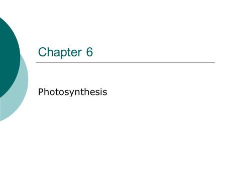 Chapter 6 Photosynthesis.