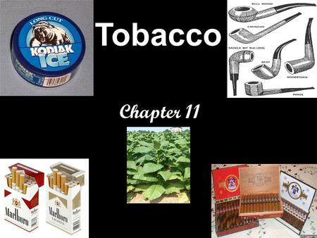 Tobacco Chapter 11.