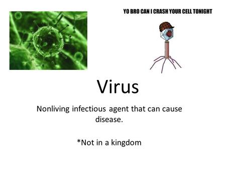 Nonliving infectious agent that can cause disease. *Not in a kingdom