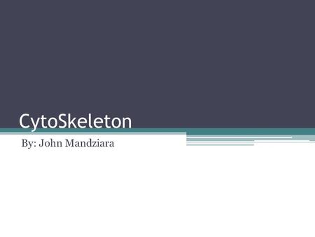 CytoSkeleton By: John Mandziara.