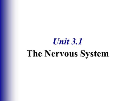 Unit 3.1 The Nervous System