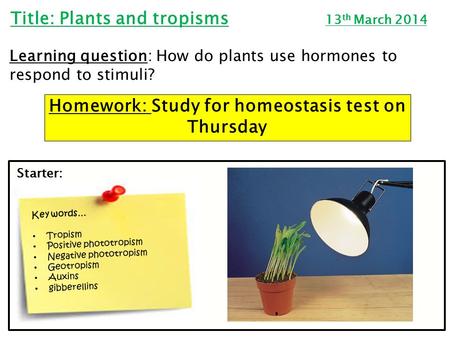 Homework: Study for homeostasis test on Thursday