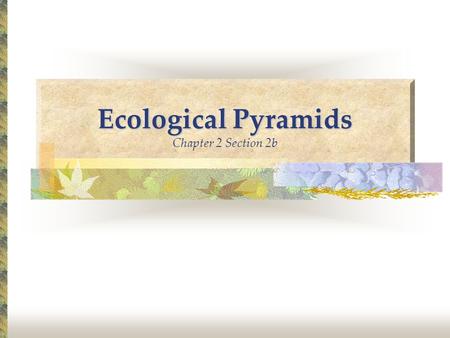 Ecological Pyramids Chapter 2 Section 2b
