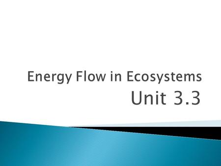 Unit 3.3.  What happens to energy stored in body tissues when one organism eats another?  The energy moves from the “eaten” to the “eater”. Where the.