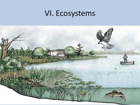 VI. Ecosystems. Ecosystem – a group of plants and animals that depend on each other and their environment for survival. They can be very large or extremely.