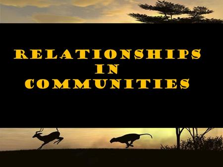 Relationships in Communities Sun – source of energy that fuels most life on Earth.