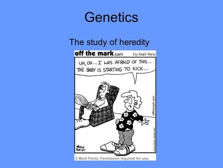 Genetics The study of heredity. For generations, people observed that offspring look like their parents Mason Bear and his Dad, Tucker.