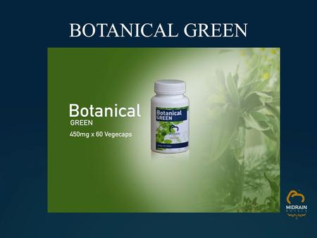 BOTANICAL GREEN. INGREDIENTS Lemon Juice Powder Isolated Soy Protein Digazyme Spirulina Green Tea Extract Alfalfa Cordyceps sinensis.