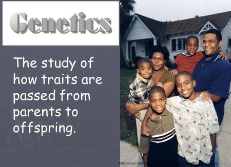 The study of how traits are passed from parents to offspring.