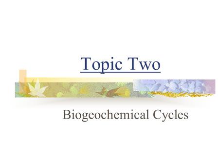 Topic Two Biogeochemical Cycles. 2-3 Carbon-Oxygen Cycle.