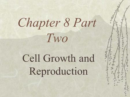 Chapter 8 Part Two Cell Growth and Reproduction Cell Size Limitations  Cells vary in size and shape  The longest cells are nerve cells which can be.