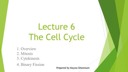 1. Overview 2. Mitosis 3. Cytokinesis 4. Binary Fission
