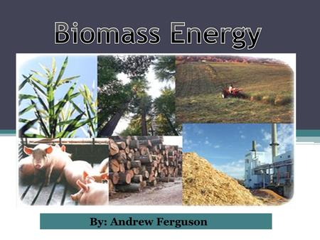 By: Andrew Ferguson.  Biomass- a renewable energy source, that is made up of biological matter from living, or recently living organisms. Mostly comes.