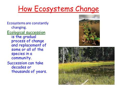 How Ecosystems Change Ecosystems are constantly changing.