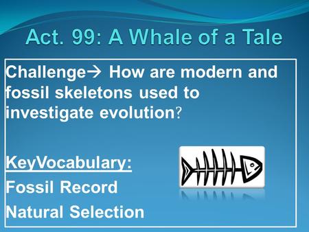 Act. 99: A Whale of a Tale Challenge How are modern and fossil skeletons used to investigate evolution? KeyVocabulary: Fossil Record Natural Selection.