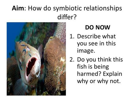 Aim: How do symbiotic relationships differ? DO NOW 1.Describe what you see in this image. 2.Do you think this fish is being harmed? Explain why or why.