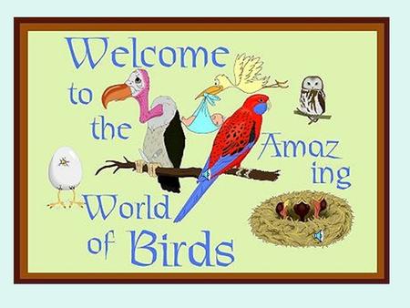 Birds. Birds Evolution and Classification Birds are Vertebrates of the Class Aves The evolution of endothermy, has enabled birds to survive in virtually.