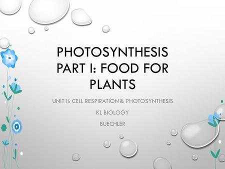 PHOTOSYNTHESIS PART I: FOOD FOR PLANTS UNIT II: CELL RESPIRATION & PHOTOSYNTHESIS KL BIOLOGY BUECHLER.