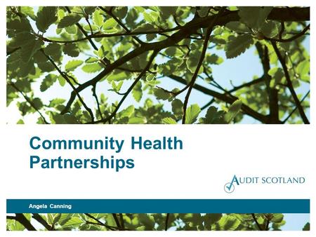 Community Health Partnerships Angela Canning. What we do 227 February 2012Community Health Partnerships.
