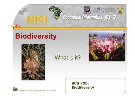 Biodiversity What is it? BCB 705: Biodiversity.