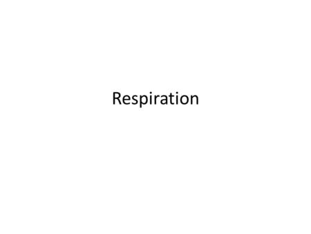 Respiration. ALL ORGANISMS CARRY ON SOME FORM OF CELLULAR RESPIRATION.