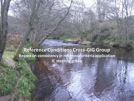 Reference Conditions Cross-GIG Group Report on consistency in reference criteria application IC steering group.