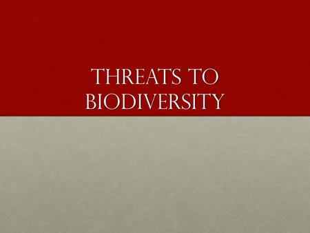 Threats to Biodiversity. Who are the key players in maintaining a healthy ecosystem?