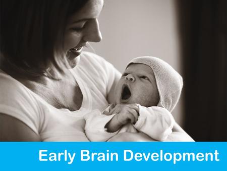 Early Brain Development. Source: Hart & Risley, 1995 THE GROWING BRAIN IS SHAPED BY THE EXPERIENCES AROUND IT 18 Age at which differences begin to appear.