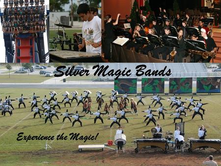 Silver Magic Bands Experience the Magic!. The Silver Magic Program Marching Band/Colorguard –June through November Wind Ensemble and Concert Band –November.