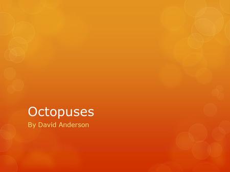 Octopuses By David Anderson.