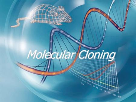 Molecular Cloning.