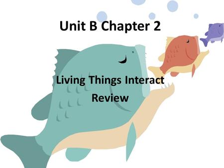 Unit B Chapter 2 Living Things Interact Review. A single organism living in an environment is? Individual.