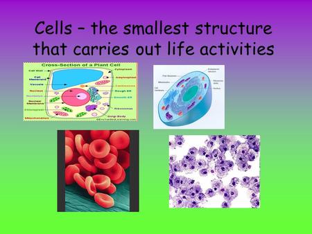Cells – the smallest structure that carries out life activities.