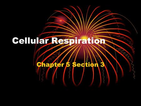 Cellular Respiration Chapter 5 Section 3. Key Terms Aerobic Anaerobic Glycolysis NADH Krebs Cycle FADH 2 Fermentation.
