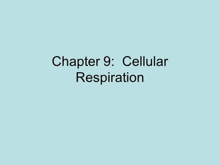 Chapter 9: Cellular Respiration. Energy in our food One gram of glucose = 3811 calories of heat energy calorie – amount of energy needed to raise the.