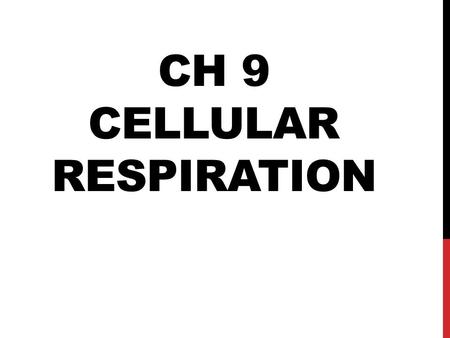 Ch 9 cellular respiration