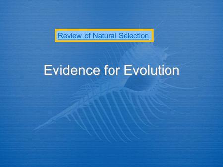 Evidence for Evolution Review of Natural Selection.