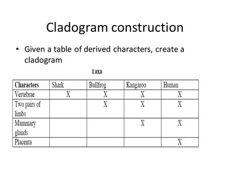 Cladogram construction