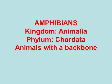 AMPHIBIANS Kingdom: Animalia Phylum: Chordata Animals with a backbone