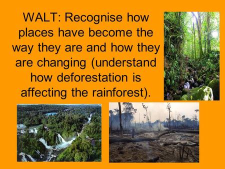 WALT: Recognise how places have become the way they are and how they are changing (understand how deforestation is affecting the rainforest).