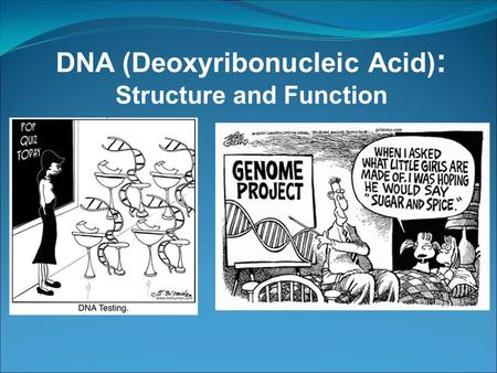 DNA (Deoxyribonucleic Acid) : Structure and Function.
