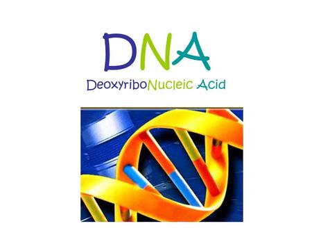 DNA DeoxyriboNucleic Acid. What can DNA do? Carries information from one generation to the next Determines the heritable characteristics of organisms.