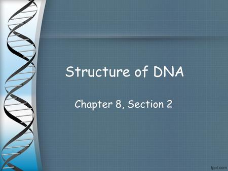 Structure of DNA Chapter 8, Section 2.