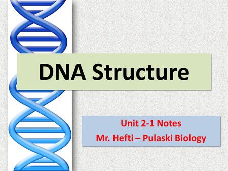 DNA Structure Unit 2-1 Notes Mr. Hefti – Pulaski Biology Unit 2-1 Notes Mr. Hefti – Pulaski Biology.