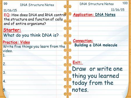 11/16/15 Starter: What do you think DNA is? 11/16/15 DNA Structure Notes Application: DNA Notes Connection: Building a DNA molecule DNA Structure Notes.