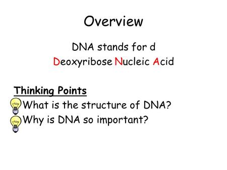 Overview DNA stands for d Deoxyribose Nucleic Acid Thinking Points What is the structure of DNA? Why is DNA so important?